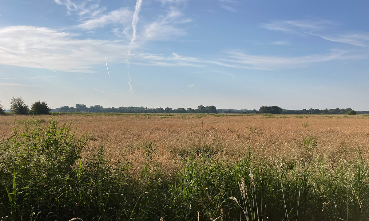Natuur omgeving Veluwemeer