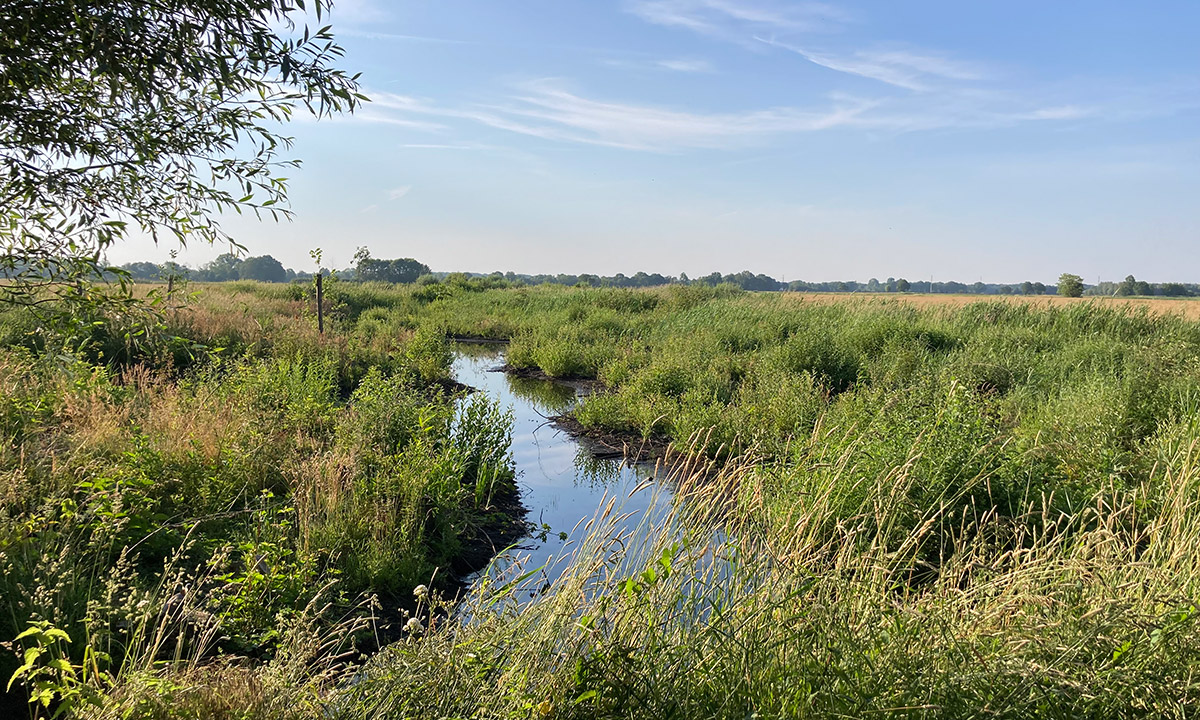 Groene omgeving Veluwemeer