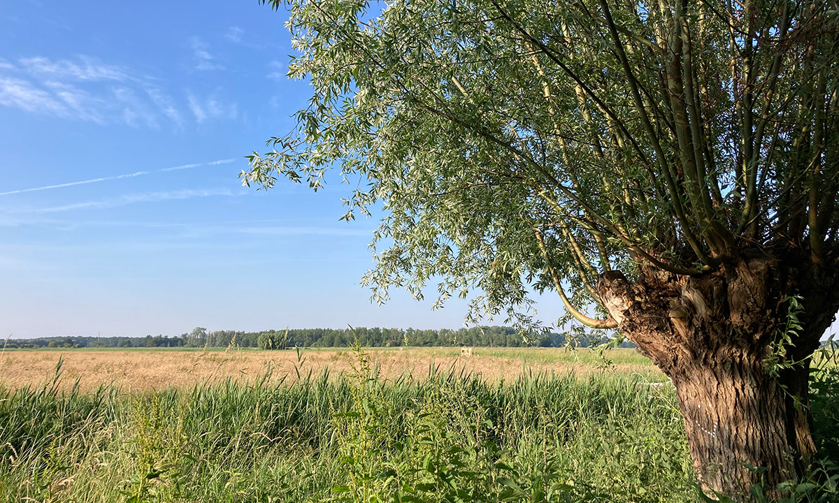 Omgeving Veluwemeer