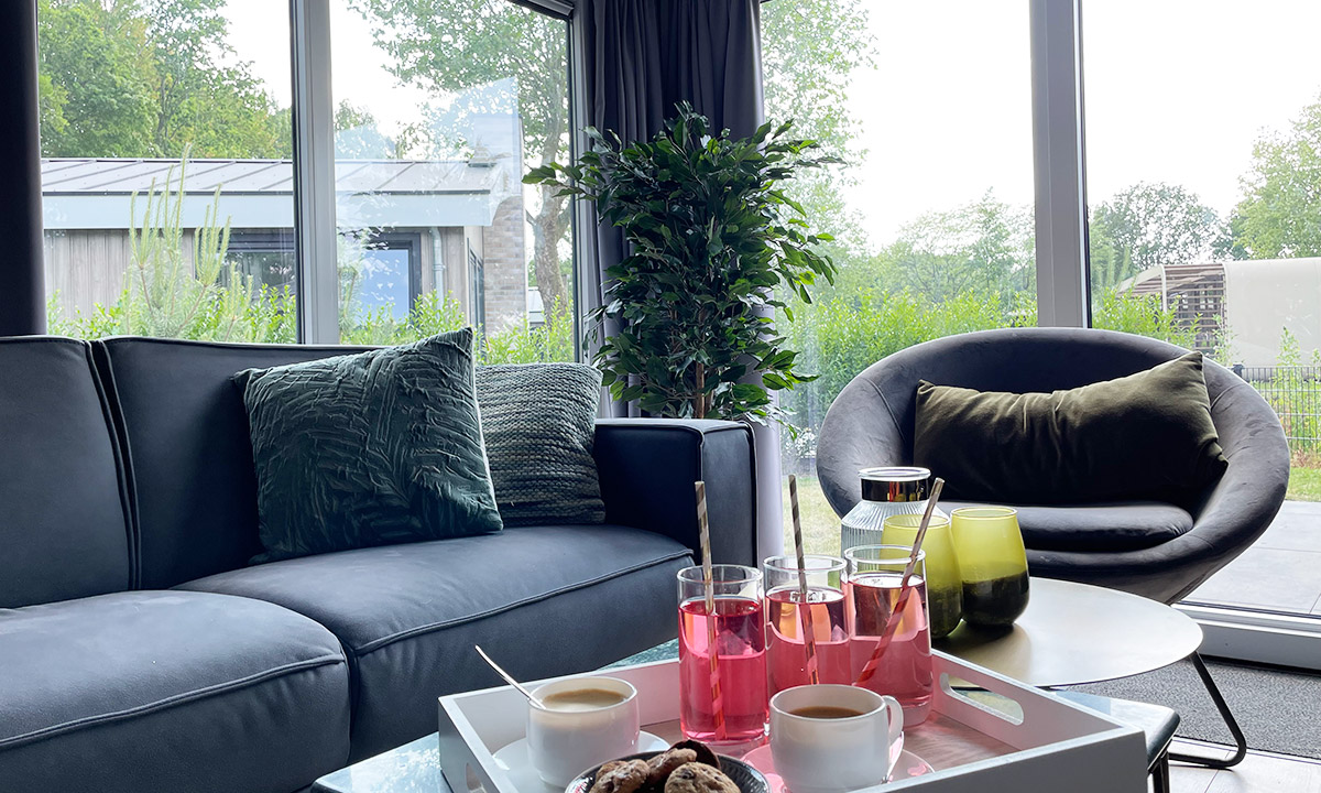 Relaxe zithoek van het chalet